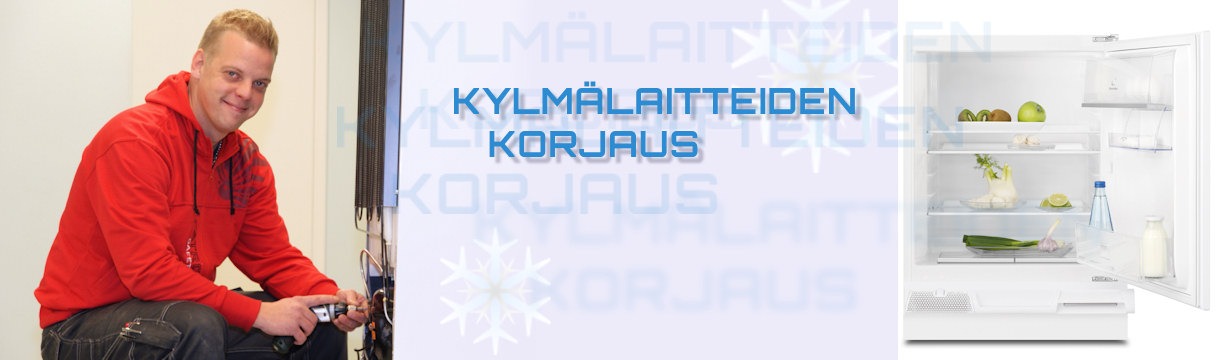 Jääkaapin huolto